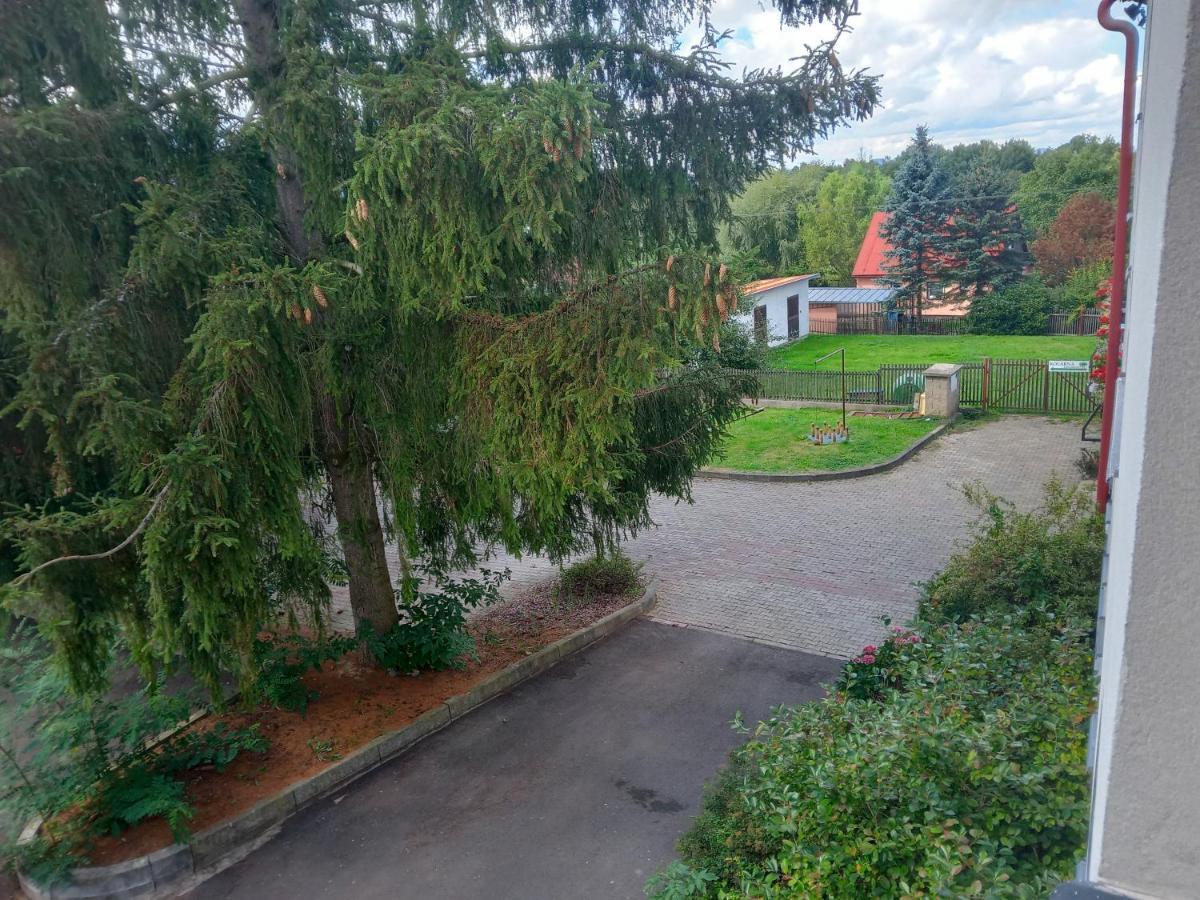 Hotel U Zeleneho Stromu - Zum Gruenen Baum Хренско Экстерьер фото